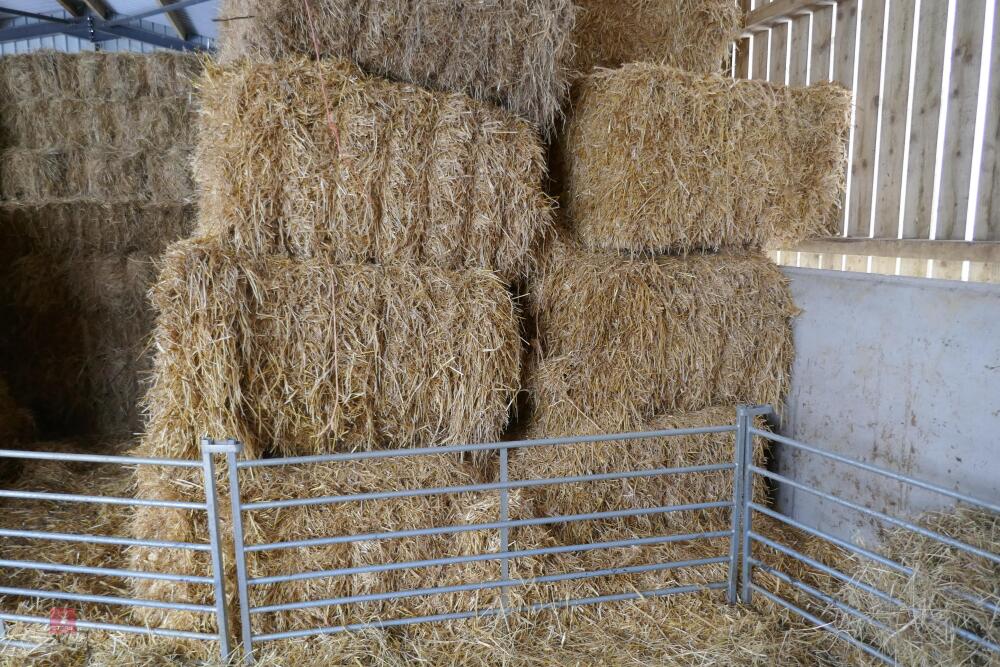 6 BALES OF 8' X 4' BARLEY STRAW