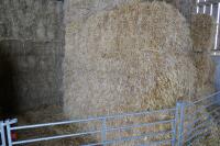 6 BALES OF 8' X 4' BARLEY STRAW - 3