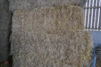 6 BALES OF 8' X 4' BARLEY STRAW - 4