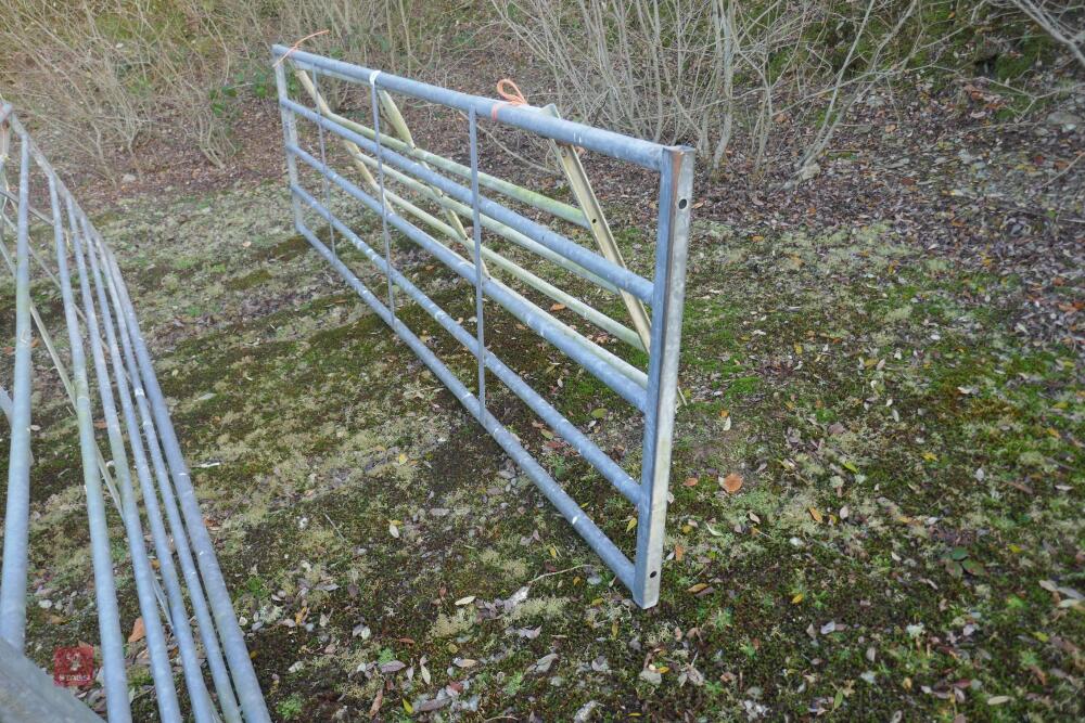 13FT GALVANISED YARD GATE(#)