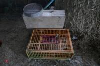 2 X POULTRY CRATES (B) - 2