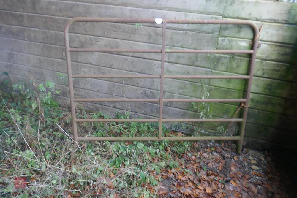 1 X 6FT 6" CATTLE HURDLE (F)