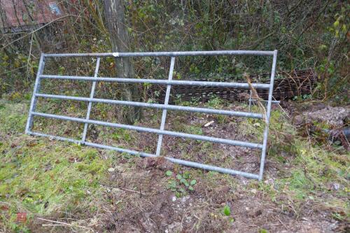 10' HEAVY DUTY GALVANISED YARD GATE(B)