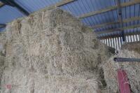 APPROX 200 BALES OF CONVENTIONAL HAY - 6