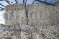 APPROX 200 BALES OF CONVENTIONAL HAY