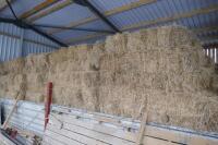 APPROX 200 BALES OF CONVENTIONAL HAY - 4