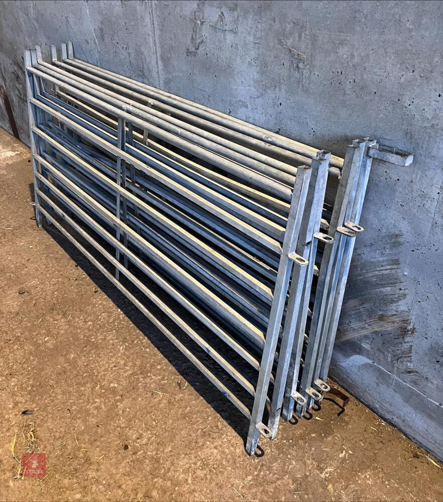 6 X 6FT SQUARE BAR SHEEP HURDLES