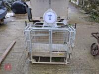 IAE LAMB WEIGHER