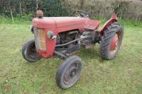 MASSEY FERGUSON 30.8 2WD TRACTOR - 13