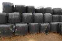 25 ROUND BALES OF ORGANIC SILAGE (BIDS PER BALE) - 2