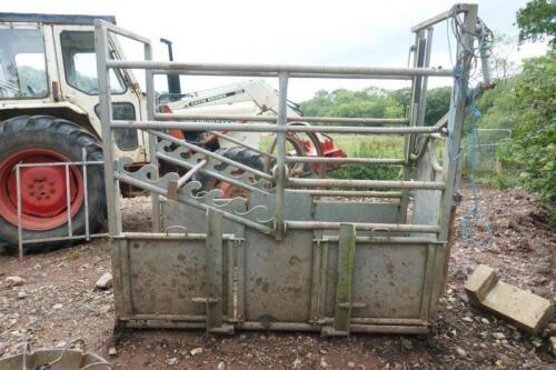 GALVANISED CATTLE CRUSH