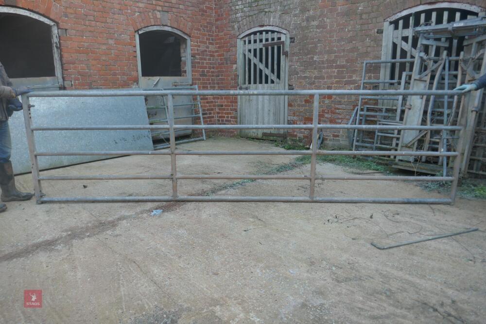 14FT GALVANISED YARD GATE (64)