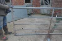 14FT GALVANISED YARD GATE (64) - 5