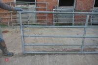 10FT 8" GALVANISED YARD GATE (62) - 2