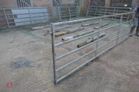 14FT GALVANISED YARD GATE (61) - 2