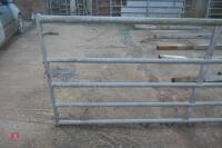 14FT GALVANISED YARD GATE (61) - 3