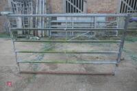 8FT 2" GALVANISED YARD GATE (58)