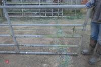 14FT GALVANISED YARD GATE (55) - 2