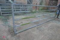 13FT GALVANJISED YARD GATES (54) - 2