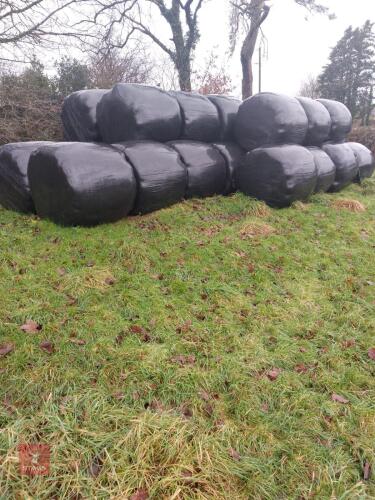 37 ROUND BALES OF SILAGE (BIDS PER BALE)