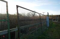 2 METAL MESH SECURITY GATES - 7