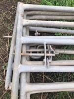 4 X 5 BAR GALV METAL PENNING GATES - 3