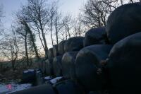 50 2022 ROUND BALES OF SILAGE (BIDS PER BALE) - 3