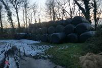 50 2022 ROUND BALES OF SILAGE (BIDS PER BALE) - 2