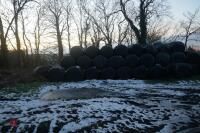 50 2022 ROUND BALES OF SILAGE (BIDS PER BALE) - 6