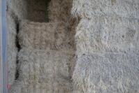 LARGE RECTANGULAR BALE 2022 HAY (BIDS PER TONNE) - 2