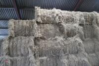 LARGE RECTANGULAR BALE 2022 HAY (BIDS PER TONNE) - 3