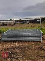 10 HARRIS FENCING PANELS - 3