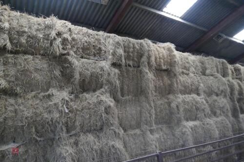 LARGE RECTANGULAR BALE 2022 HAY (BIDS PER TONNE)