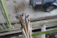 32 BAMBOO CANES - 5