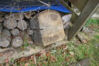 STACK OF UNPROCESSED FIREWOOD LOGS - 4