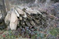 APPROX 50 USED WOODEN FENCE STAKES - 8