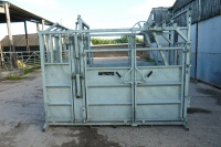 BATEMAN HD AMBASSADOR GALV CATTLE CRUSH - 7