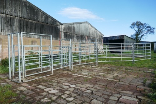 COMPLETE GALV CATTLE HANDLING SYSTEM