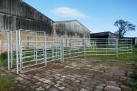 COMPLETE GALV CATTLE HANDLING SYSTEM - 2