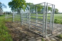 COMPLETE GALV CATTLE HANDLING SYSTEM - 6