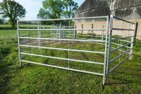 COMPLETE GALV CATTLE HANDLING SYSTEM - 8