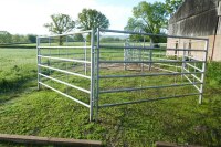 COMPLETE GALV CATTLE HANDLING SYSTEM - 9