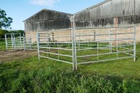 COMPLETE GALV CATTLE HANDLING SYSTEM - 14