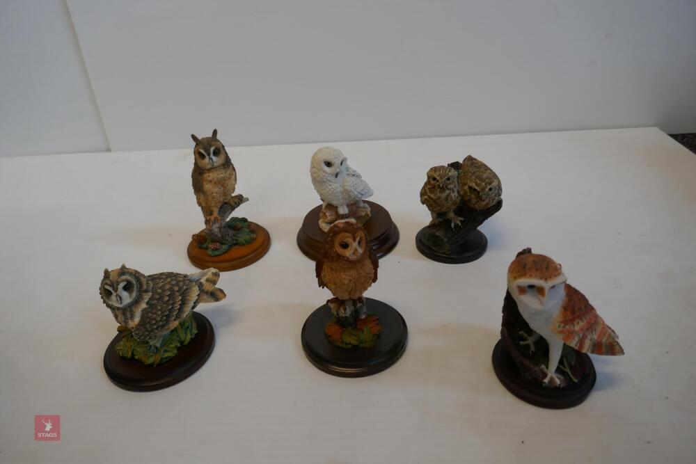 BOX OF 6 OWL ORNAMENTS