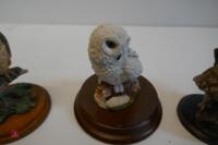 BOX OF 6 OWL ORNAMENTS - 4