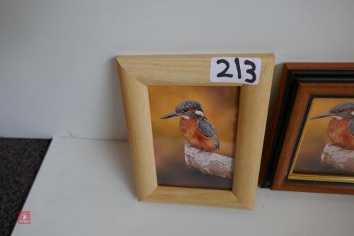 PAIR OF PHOTOS OF KINGFISHERS