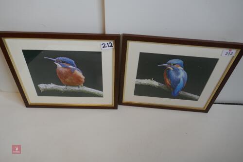 PAIR OF PHOTOS OF KINGFISHERS