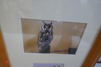 4 OWL PHOTOS IN A FRAME - 2