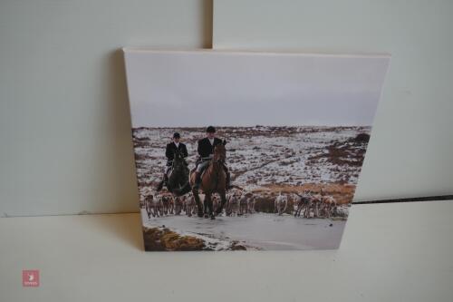 PHOTO ON CANVAS OF FOX HOUND PACK