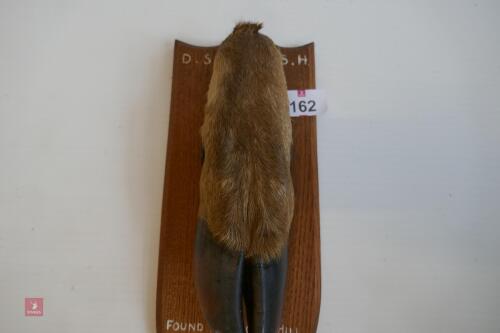 RED DEER MOUNTED SLOT